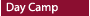Day Camp